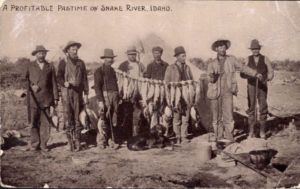 Original postcard of a group of men with game birds and string of fish, “A profitable pastime on Snake River, Idaho.”, On reverse side postage one cent, states, “Oct. 26 Idaho City Dear Eliza we are all OK. Hope you are well you can write a line two Idaho City and I will ask when we can back.”. Image contains the text: "A PROFITABLE PASTIME ON SNAKE RIVER IDAHO"