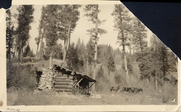 Log cabin, with a stone chimney, and horses