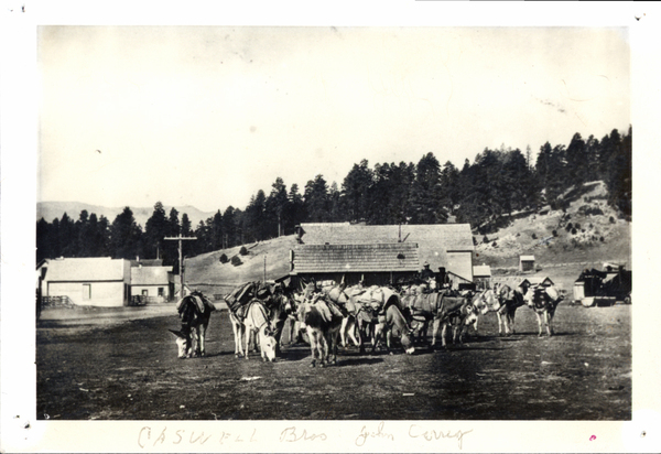 Crawford- Caswell Bros’. Pack burros in corral, with John Carrey, view from opposite direction. Image contains the text: "CASWELL Bros John Curry"