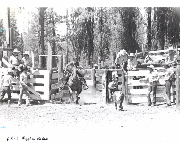 Riggins Rodeo, in view calf roping. Image contains the text: "PA-1 Riggins Rodeo"