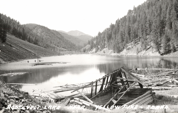 Original postcard of Roosevelt Lake near Yellow Pine, Idaho. Image contains the text: "ROOSEVELT LAKE NEAR YELLOW PINE IDAHO"