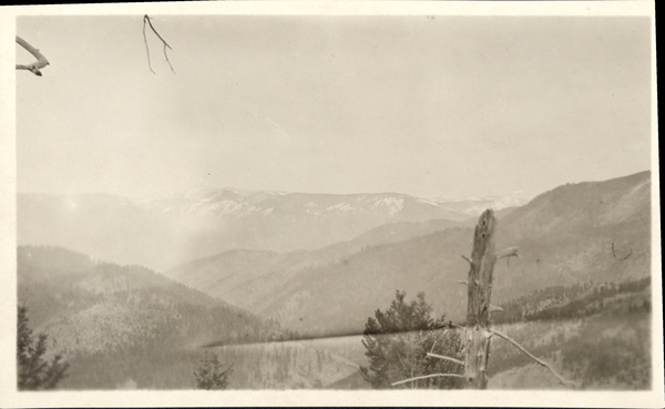 Mountains and old tree snag