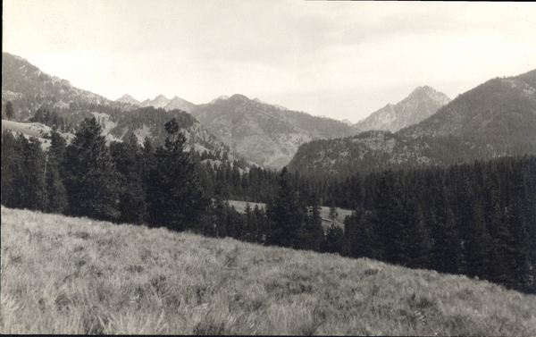 Original postcard of summer scene