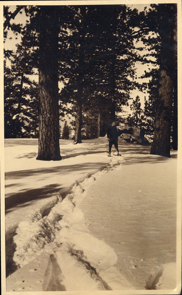 Man snowshoeing in Yellow Pine Forest