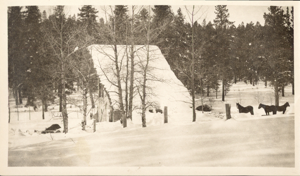 Barn and horses in the snow