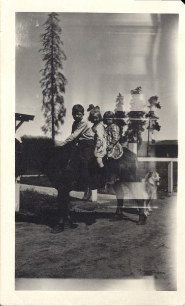 Three children on a pony with a dog in the background