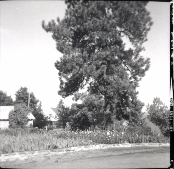 Photograph of Carl Brown’s house and property. Image contains the text: "KODAK 12  SAFETY  FILM"