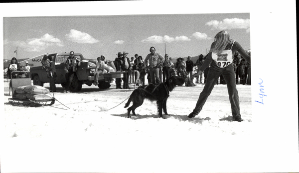 McCall dog sled races, in the photo there is a dog pulling a sled loaded with bags, a women leading the dog, and a crowd watching. Image contains the text: "McCA Lynn"