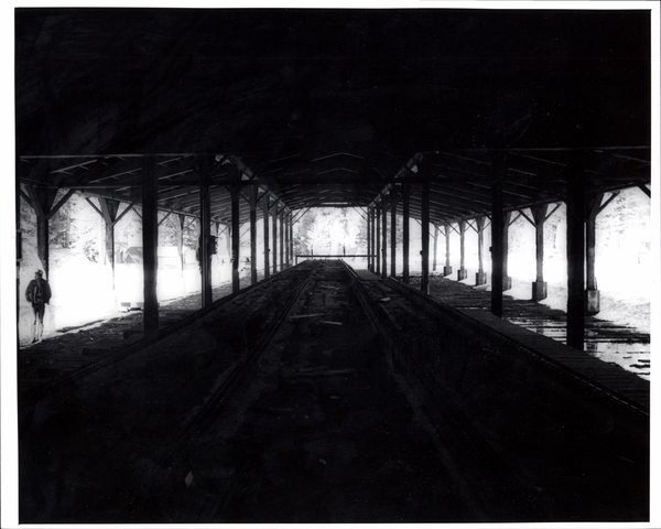 Mill, green chain (wet lumber sorter), internal view