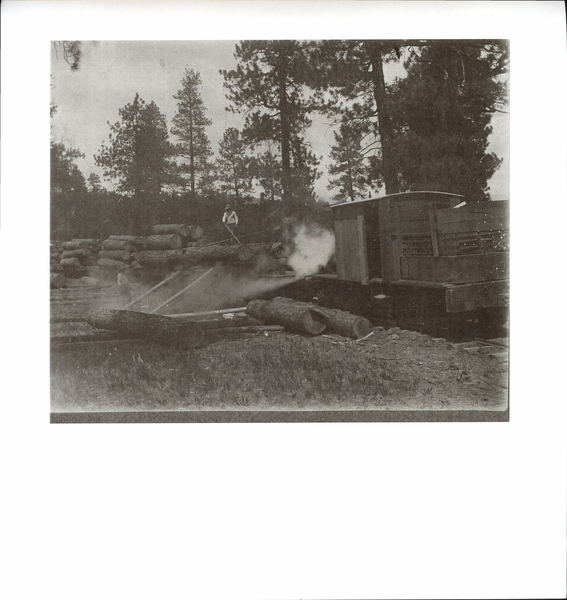 Photocopy in view there is a man cross-hauling logs onto a railroad flat car