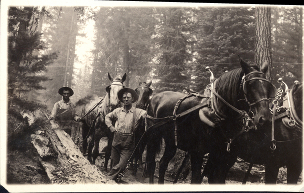 Two men each with two-horse team