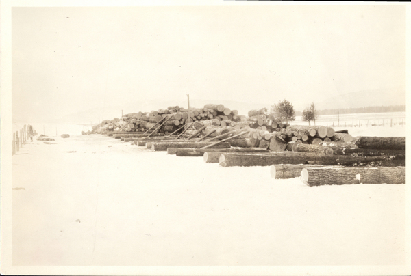 Log stacked by the lake in winter