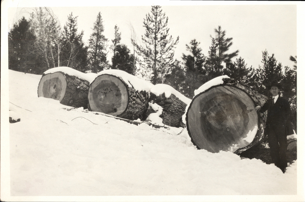 Large snow covered logs with a man standing near