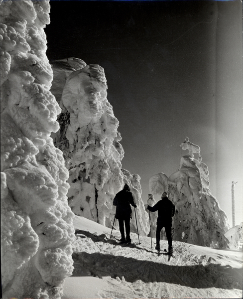 A winter scene with two nordic skiers