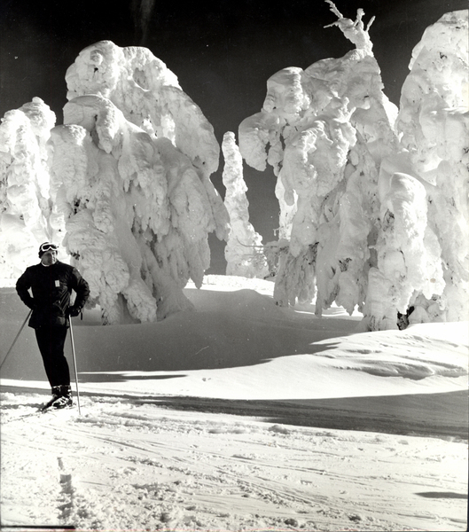 A winter scene with a nordic skier