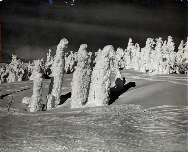 A winter scene with a skier