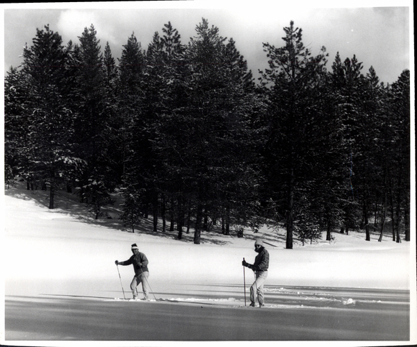 Two cross country skiers with pine trees in the background