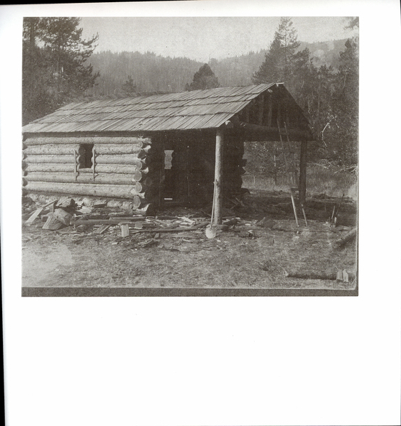 Photocopy of a log cabin being built, possibly the darkwood cabin in Long Valley