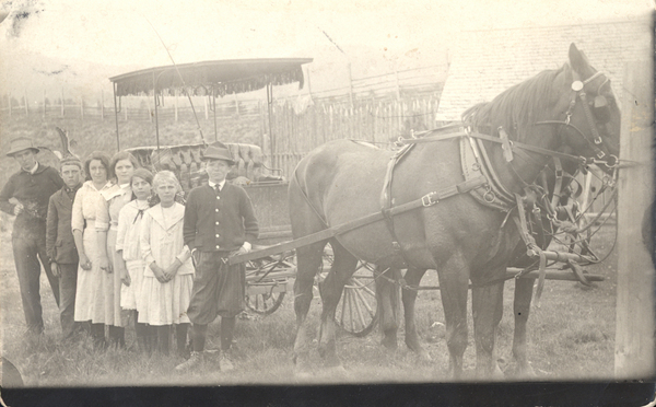 Original postcard of a two-horse team and buggy with seven children and adults. On reverse it states, “A. Kelly, 1920’s farm scene (Gerry Logue).