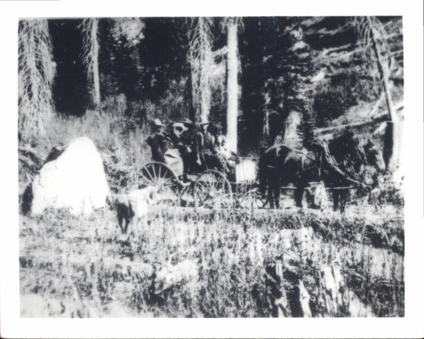 A group of people on a buggy pulled by a two horse team, on the side a dog