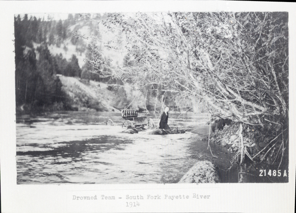 Drowned team on the South Fork Payette River. Image contains the text: "Drowned Team  South Fork Payette River 1914"