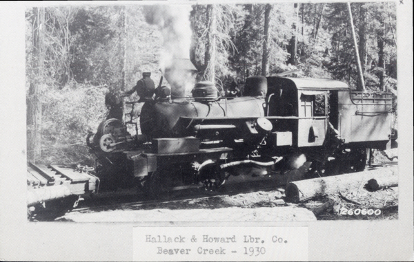 Train for Hallack and Howard lumber co.. Image contains the text: "Hallock & Howard Lbr. Co.   Beaver Creek - 1930"