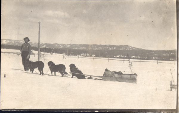 Original  postcard of “Carl Brown and dog team with mail sled”-questionable perhaps Warren Brown