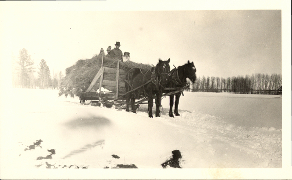 Two horse team pulling a wagon loaded with hay, three passengers, and a dog