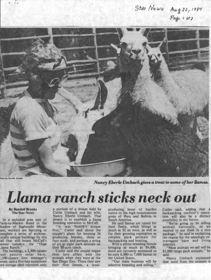 8 pages of subject files containing and related to Llamas