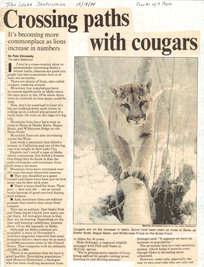 2 pages of subject files containing and related to Wildlife: Cougars