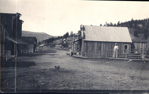 "Warren Street Scene about 1905. The building on the right has an ornamental front that appears in many old photos" stated on the back handwritten