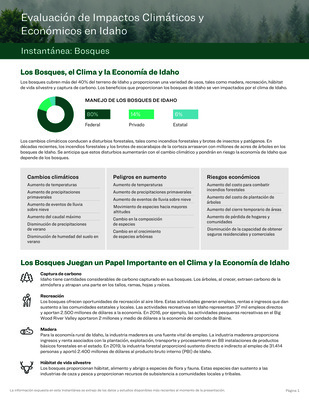 Bosques Instantánea