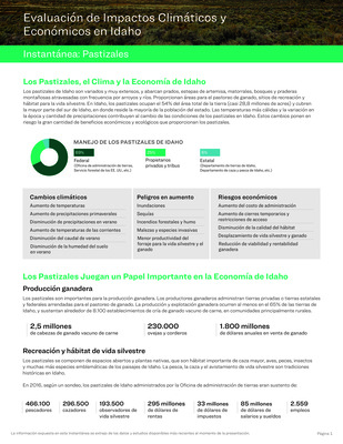 Pastizales Instantánea