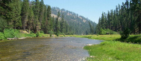 photograph of a wild river with forest and mountains