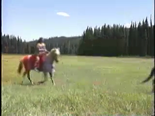 Rudy Shebala, Director of the Nez Perce Young Horsemen Program and Registry, discusses the horse program along the Lolo Trail