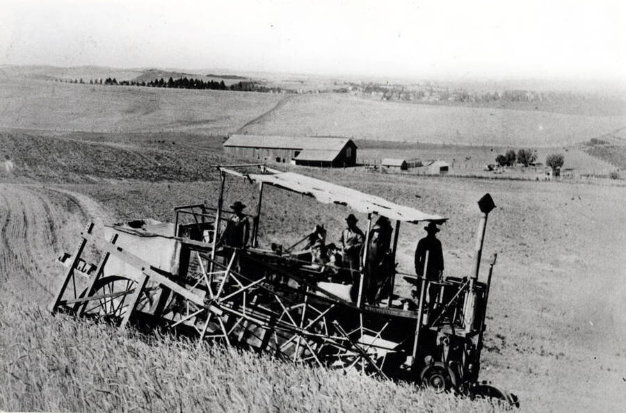Holt self-propelled combine, one of the first in the Palouse country. Near Garfield in 1918. Tender was R.W. McKown,  driver was Sam Clark. Picture from Morris McKown.