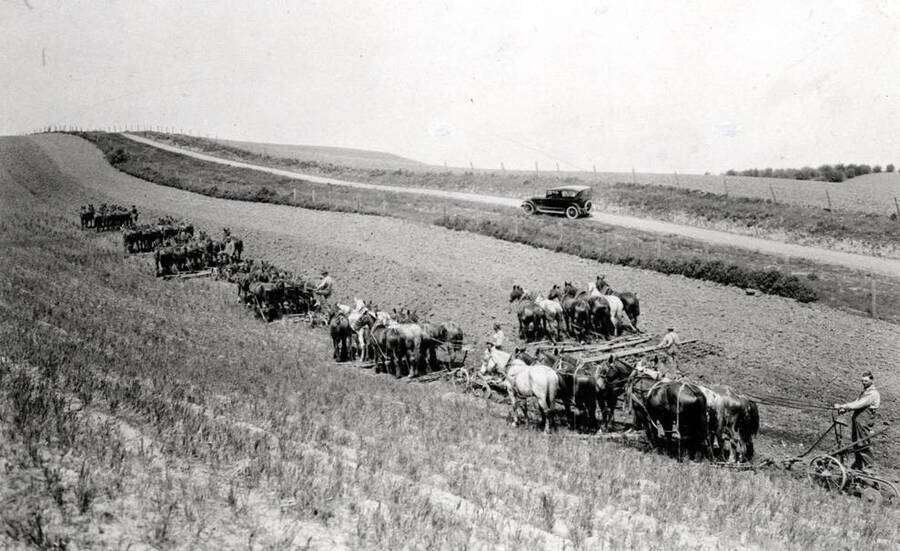 Luard Gilmore outfit, plowing and harrowing in a field about one-and-one-half miles northwest of the Potlatch "Y" in 1915.