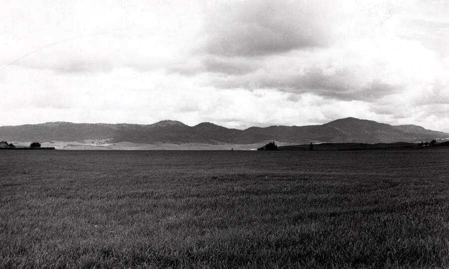 Picture taken in 1976 looking northeast toward Moscow Mountains from the east end of F Street near the Good Samaritan Village. Taken by Clifford M. Ott.