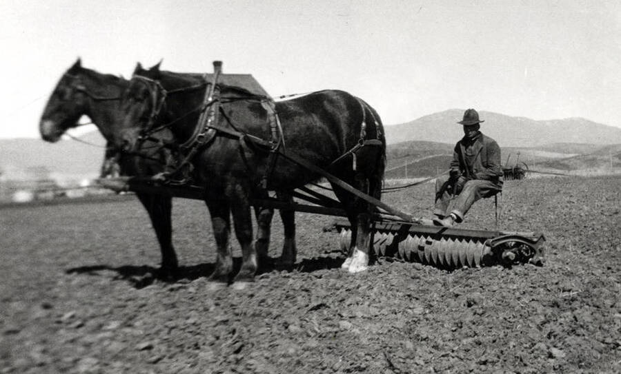 Clifford M. Ott driving team pulling a new type of farm equipment called a corrugated roller, which left the soil in excellent condition after seeding. This location west of Blaine [Street]. House showing above the horses now would be the northwest corner of Blaine and Harold streets. Picture taken 1920 with Moscow Mountains in background.