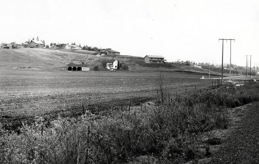 Looking west at Skattaboe farm showing new houses built in 1978-79 on hill behind Skattaboe house. New homes are in the city limits. Picture by Clifford M. Ott from Northern Pacific Railroad, May 2, 1979.
