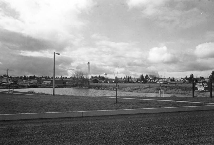 Now Hordemann Pond in Kiwanis Park. Picture by Clifford M. Ott, January 22, 1978.