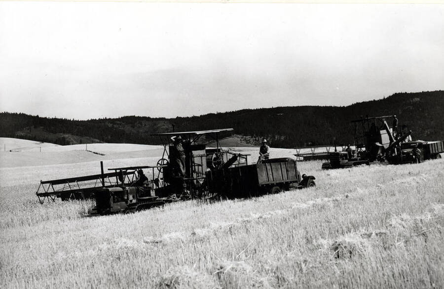 Lundquist brothers combine outfit northeast of Moscow. Two gasoline engine-powered combines being pulled by Caterpillar tractors. Picture by Hodgins, Charles Dimond photographer. September 10, 1945.