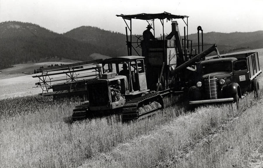 Lundquist brothers combine outfit stopped to load combine bin of wheat into truck. By Hodgins, Charles Dimond photographer. September 10, 1945.