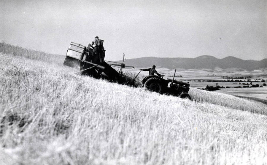 Small all-purpose combine harvesting wheat on the hills east of Moscow. Moscow Mountains in distance. Courtesy T.B. Keith. Pictures about the 1940s.