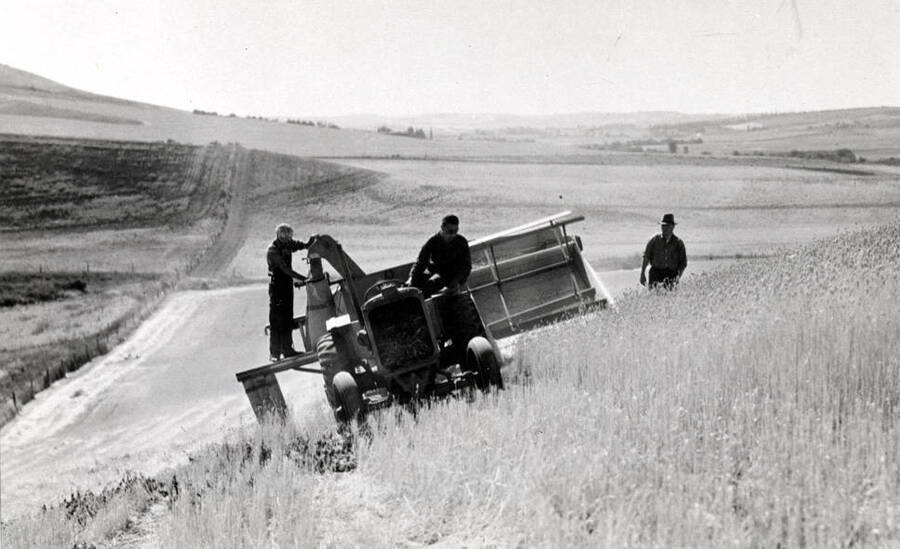 Small all-purpose combine harvesting wheat pulled by a four-wheel tractor on hills near Moscow. Courtesy T.B. Keith. Pictures about the 1940s.