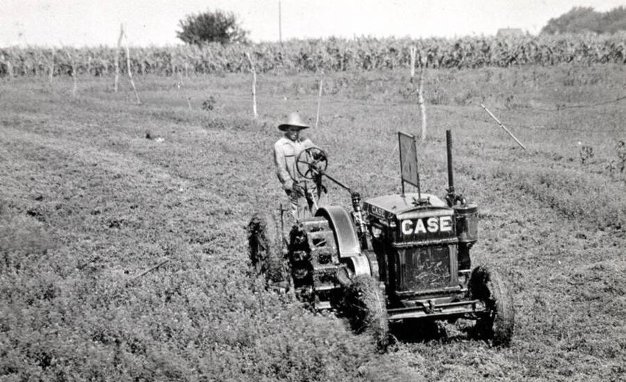 Case tractor pulling a mower cutting alfalfa about 1930. Picture courtesy T.B. Keith.