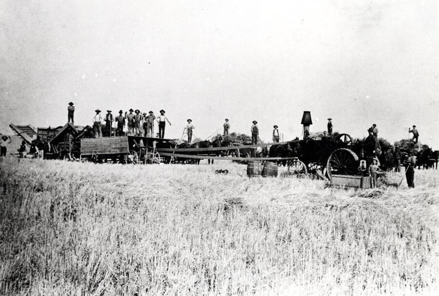 Stationary threshing outfit near Fallon Station on the Northern Pacific Railroad near the highway between Pullman and Palouse. Left to right: 5- Nels Nelson, 11- Chris Jelleberg, 13- Nael.