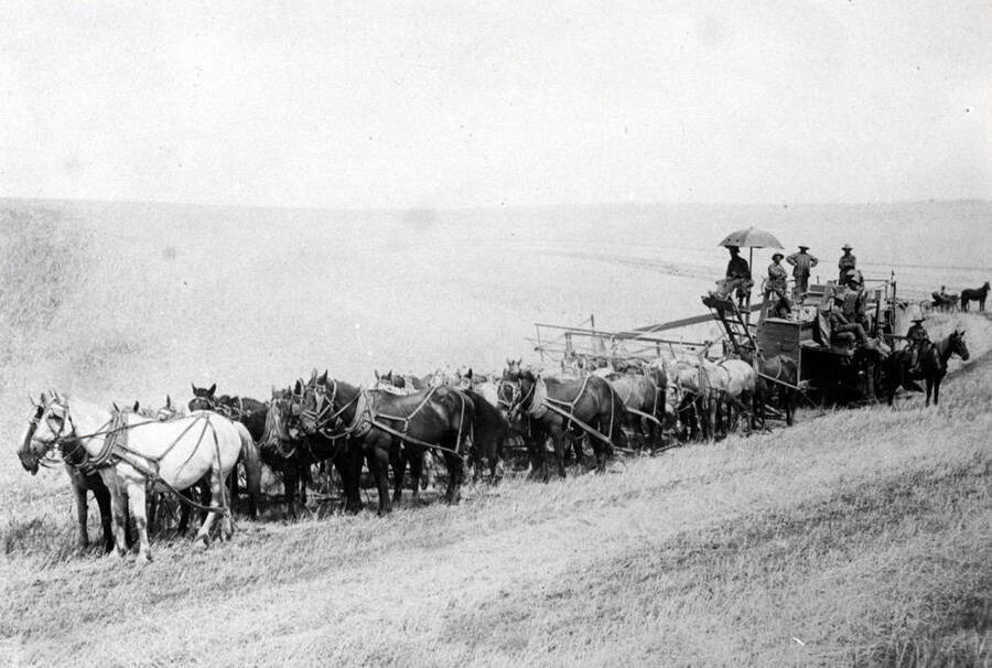 Combine outfit on the Randall farm southeast of Moscow towards Lenville. Picture by Eggan Studio in 1917.
