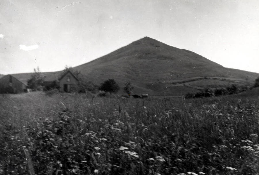 Pioneer picture of Steptoe Butte with farm buildings in foreground. No other information.