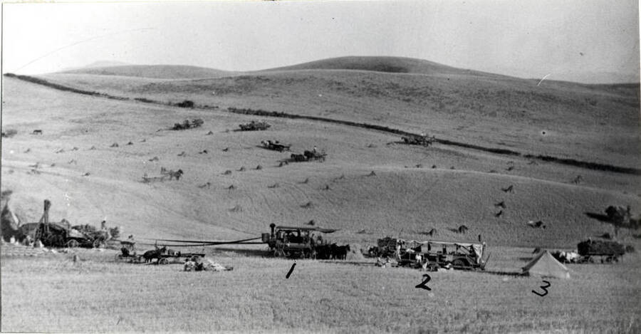 Threshing bundled grain somewhere in the Palouse country. No. 1, four horses on water wagon beside steam engine. No. 2, cookhouse with the side awnings rolled up. No. 3, cook's tent. No identification with picture.